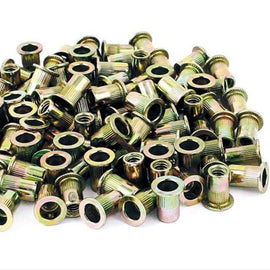 ASTRO 100pc 1/4-20 STEEL RIVET NUT RN14
